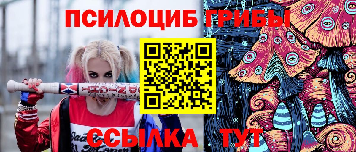 Галлюциногенные грибы GOLDEN TEACHER Протвино