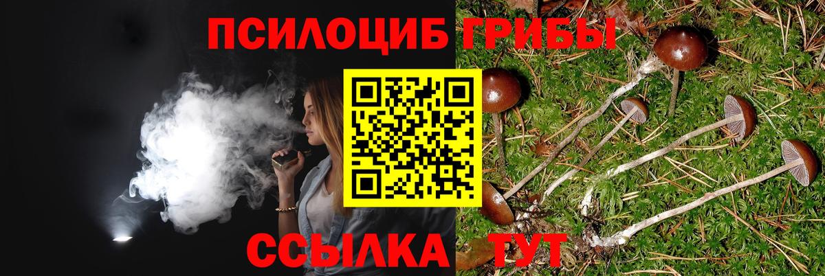Галлюциногенные грибы мицелий  Галлюциногенные грибы мухоморы  Протвино  Вход с VPN 